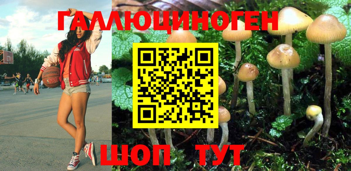 Псилоцибиновые грибы Magic Shrooms Славянск-на-Кубани