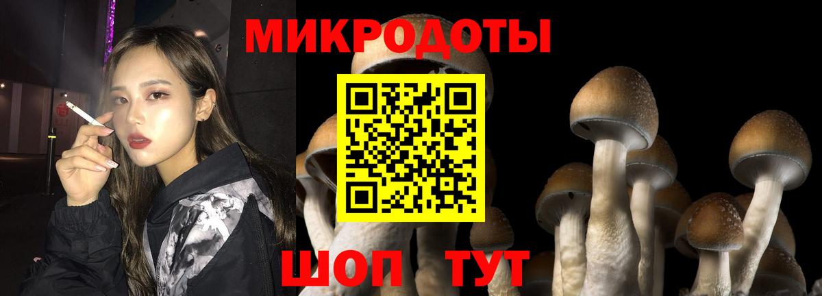 Славянск-на-Кубани  Псилоцибиновые грибы GOLDEN TEACHER  Вход с VPN 